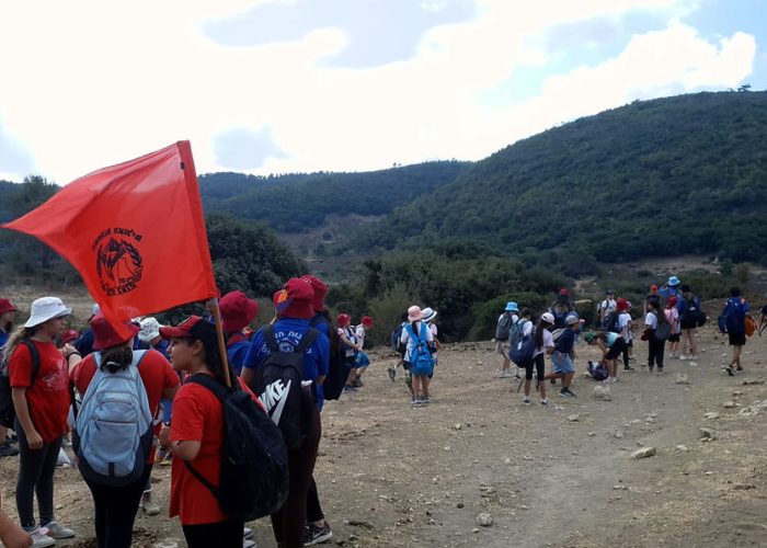 879a86_dd97e05b2b6042fd8e525afc234796a1~mv2